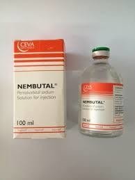 Where to Buy Nembutal/Pentobarbital Oral Solution & Capsules in the UK & Europe (2026 Guide)